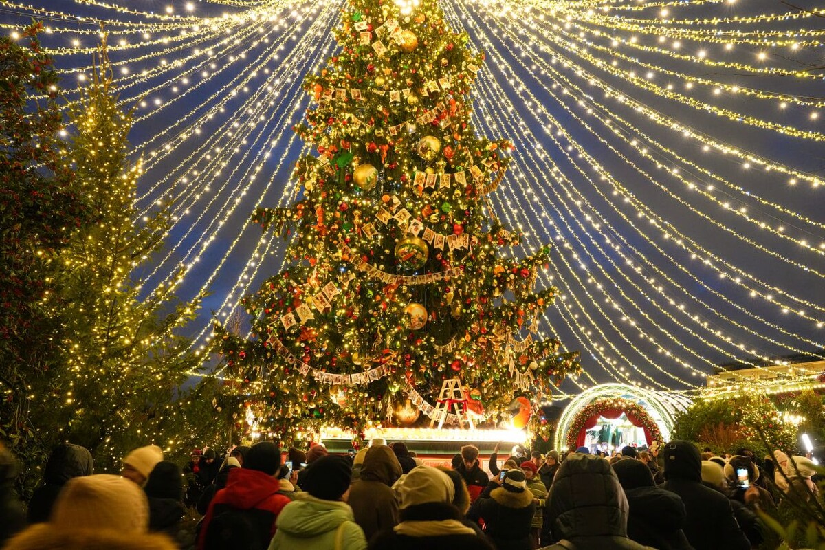     / Источник: © ИЗВЕСТИЯ/Дмитрий Коротаев