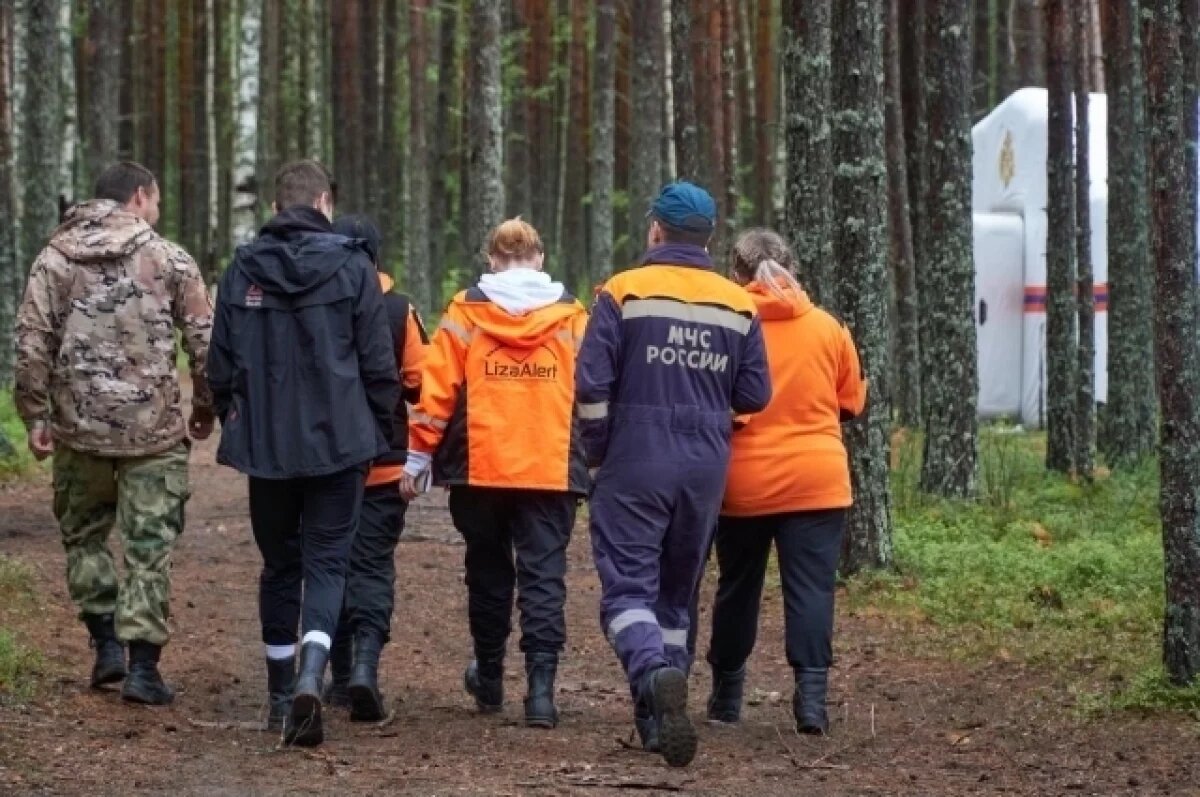    В Новосибирской области ищут двух пропавших детей из Подмосковья