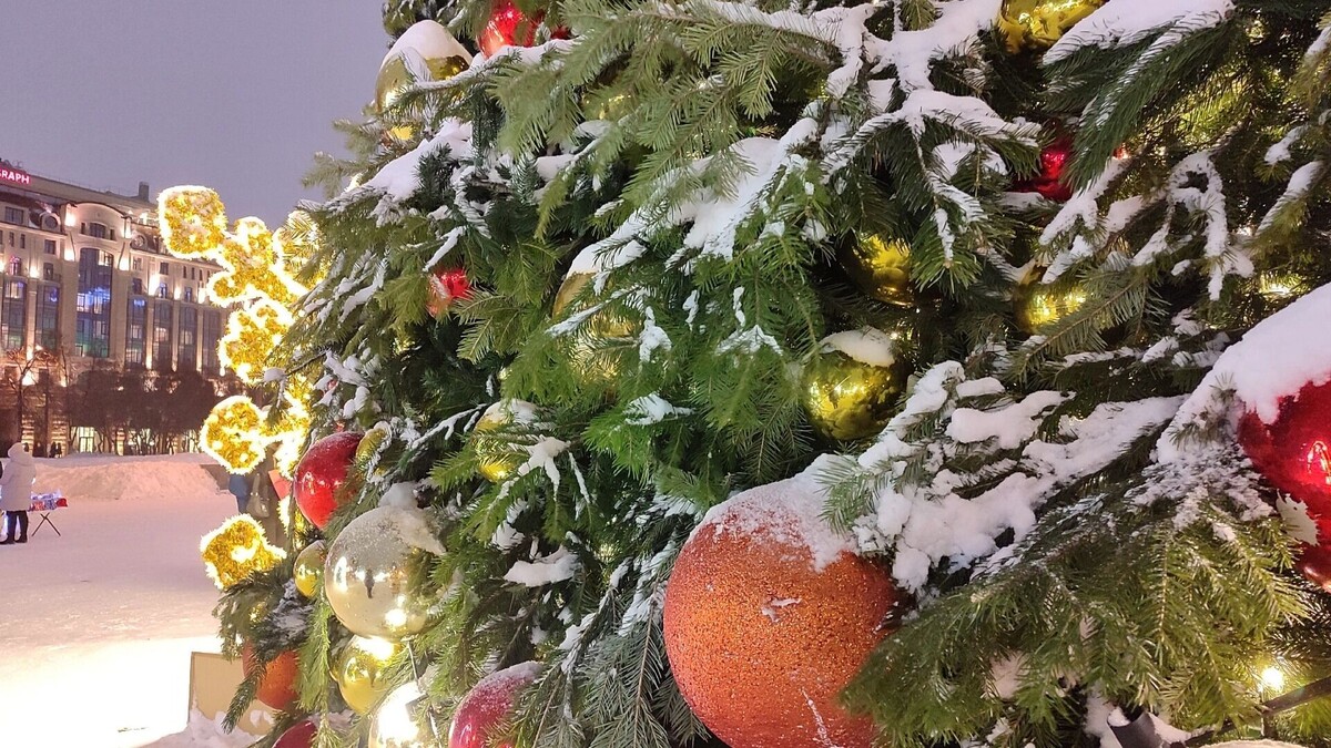    Главная елка установлена перед Оперным театром   atas.info