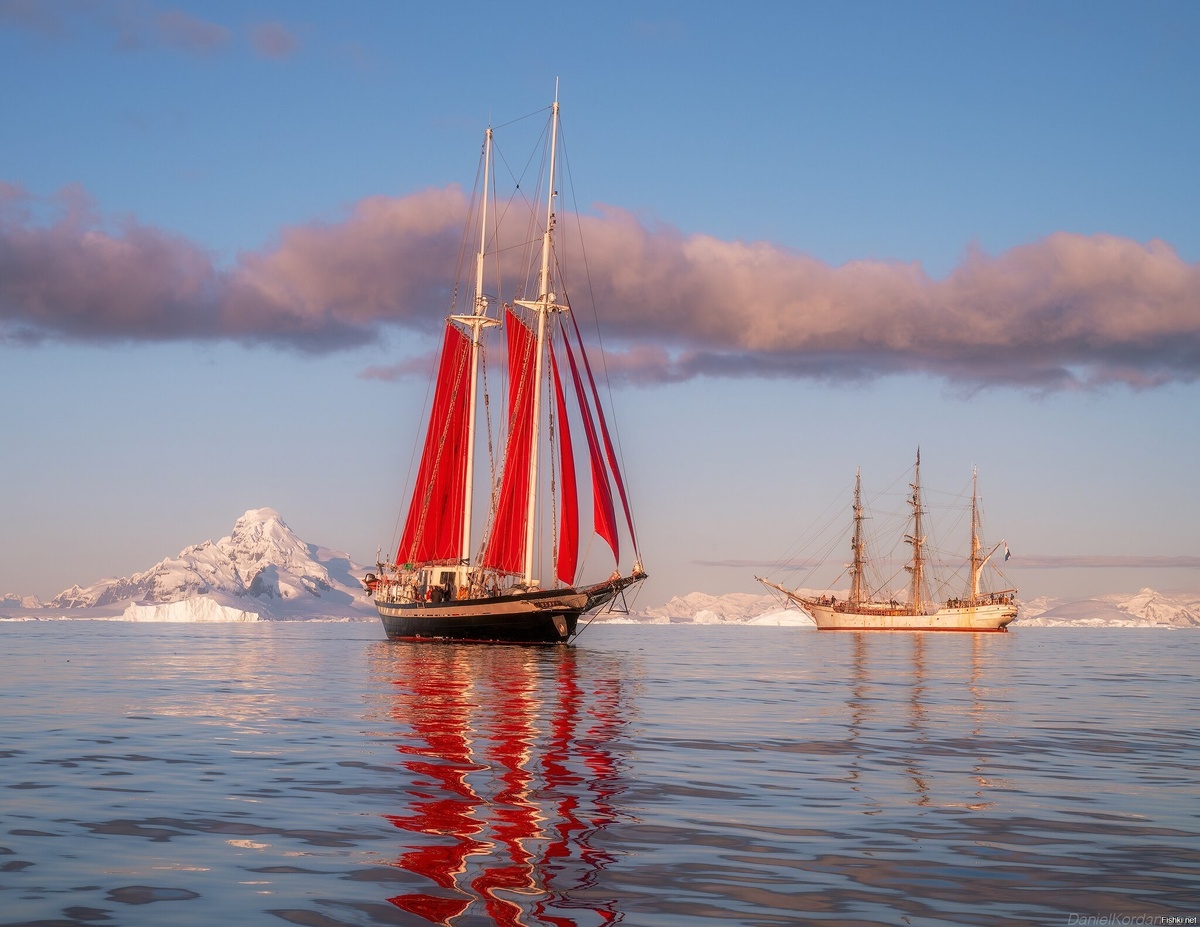 Картинка найдена на просторах интернета, ссылка https://yandex.ru/images/search?from=tabbar&img_url=https%3A%2Fi%2F.pinimg.com%2Foriginals%2Fa8%2F34%2Fа3f%2Fa83р43f84251с2879b5e7bd53274cf0591a19.jpg&lr=47&pos=15&rpt=simage&text=%D1%86%D0%B2%D0%B5%D1%82%D1%8B%20%D0%BA%D1%80%D1%83%D0%BF%D0%BD%D0%BE%20%D1%84%D0%BE%D1%82%D0%BE 