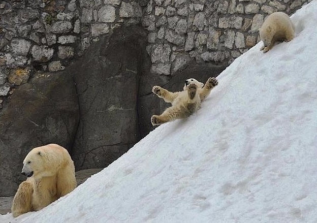 Яндекс Открытый источник 