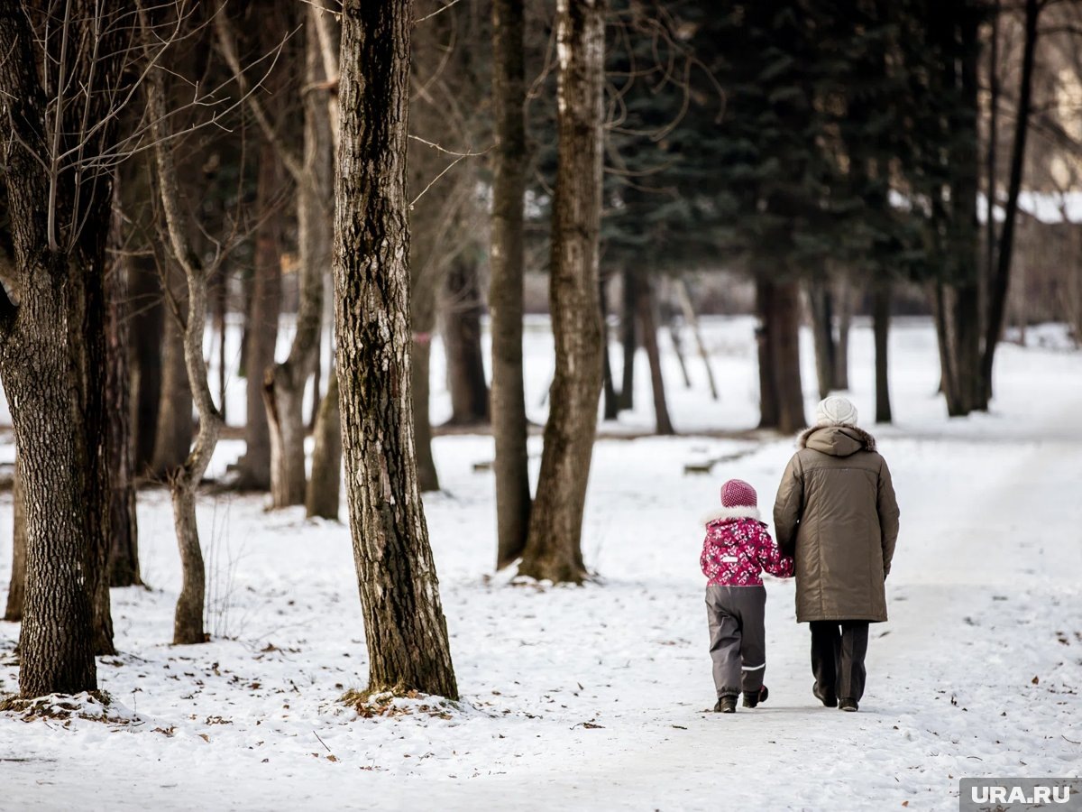     В России увеличили пенсии и упростили получения пособия на детей в 2025 году