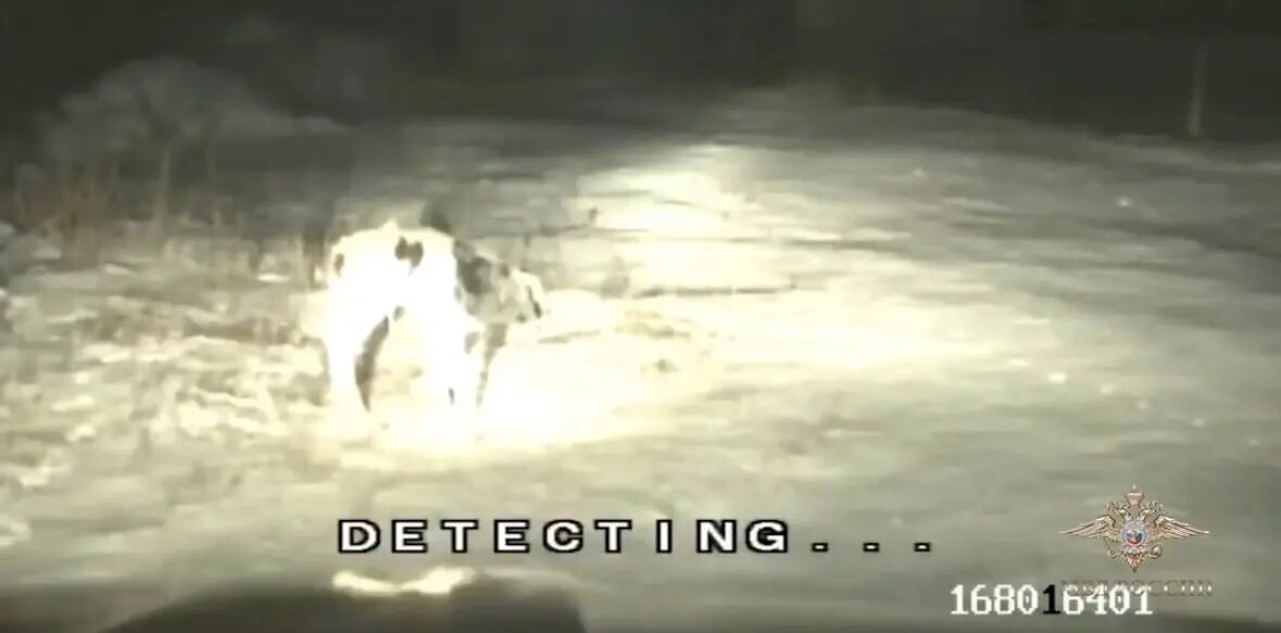    Фото: скриншот видео официального представителя МВД РФ Ирины Волк