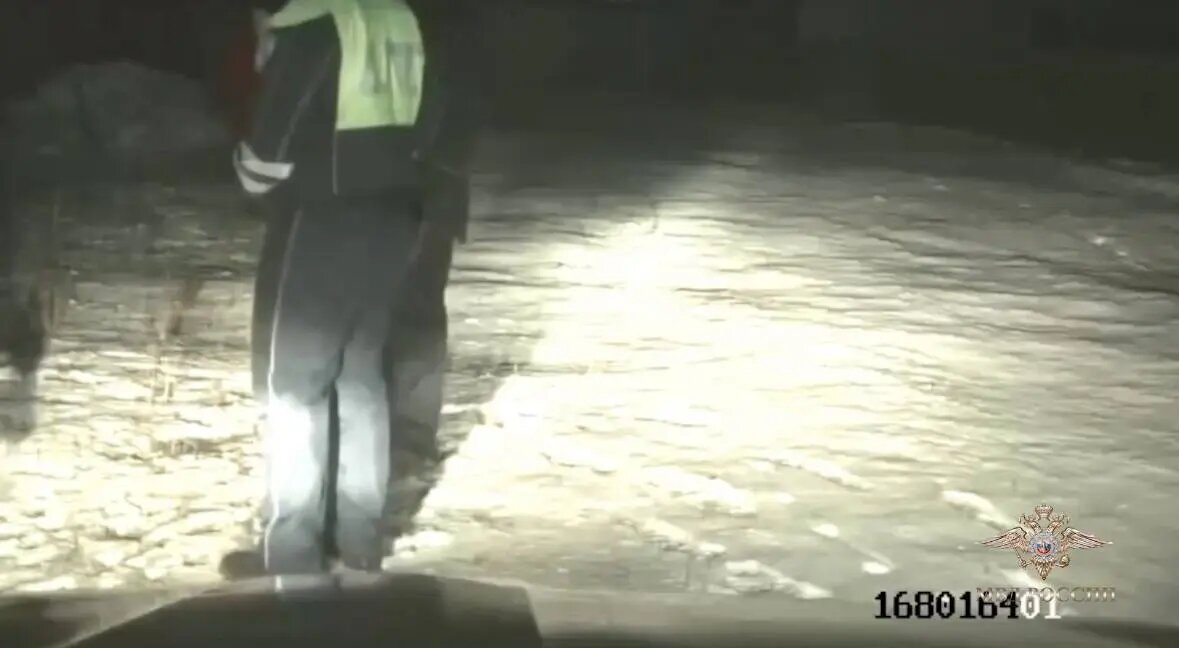    Фото: скриншот видео официального представителя МВД РФ Ирины Волк