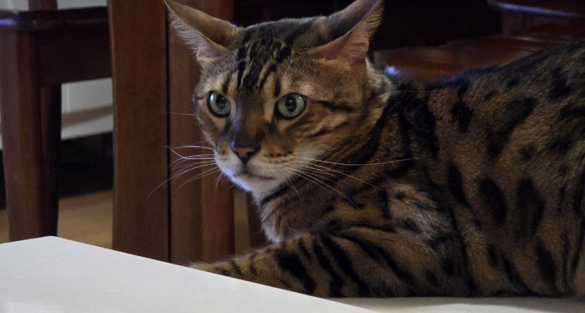    Фото Анастасии Дмитриевой