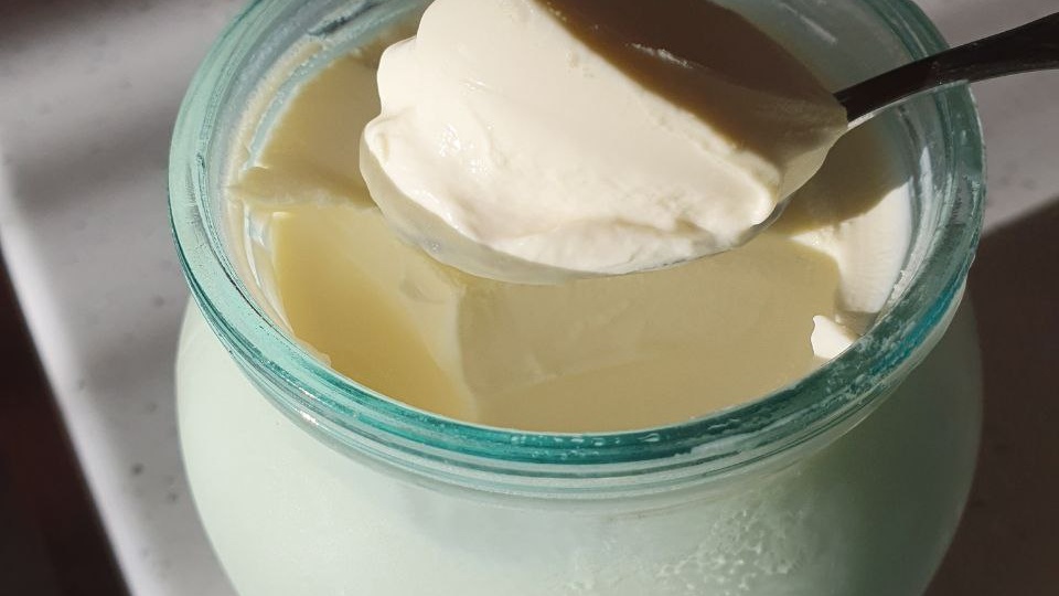 Что на самом деле скрывается под «растительными жирами» в сыре и кисломолочке?