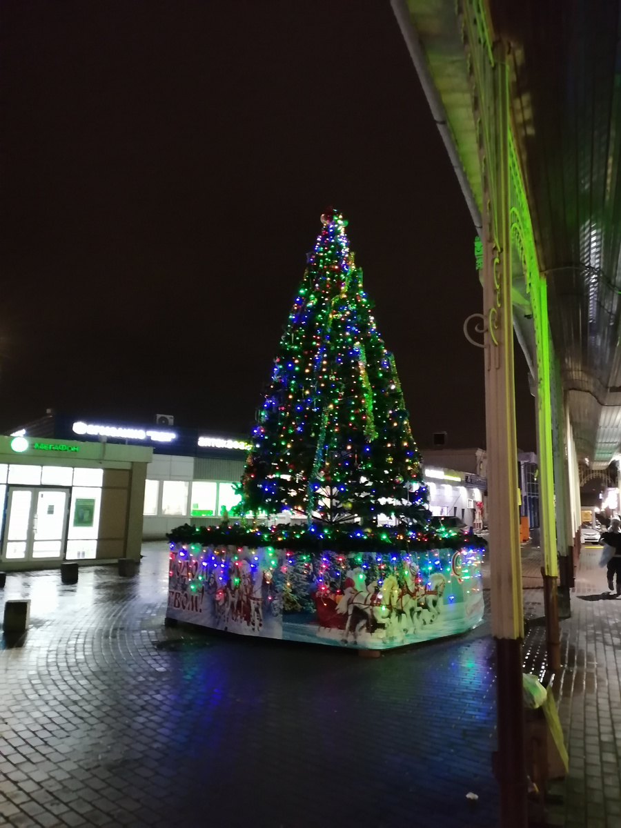 Ёлка на Сходне, еще до снега 