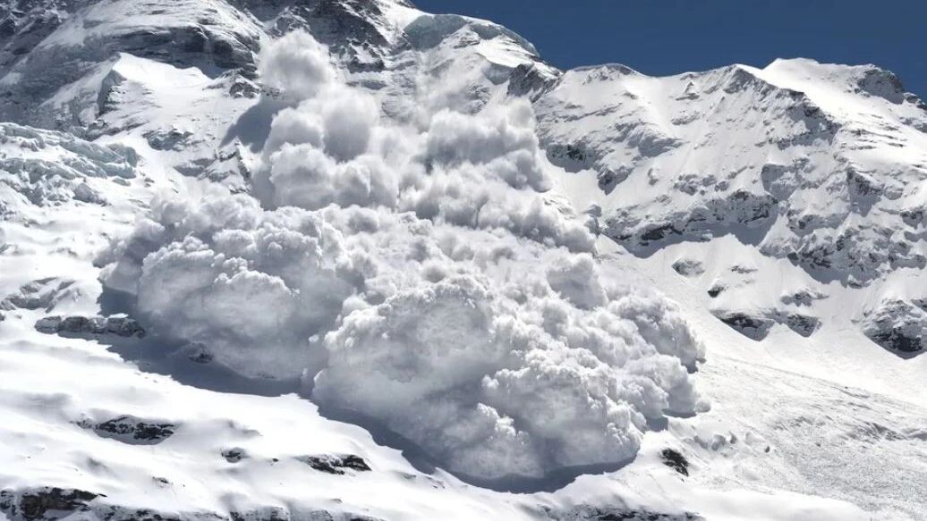    Фото: Marcus Placidus/Shutterstock/Fotodom