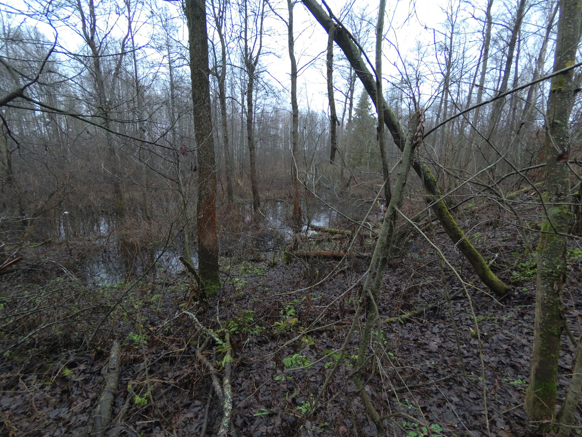 последние в этом сезоне фотки открытой воды, уже скоро снег и зима, и толко до весны ждать, да и то не факт, сейчас не загадываю и не планирую слишком далеко