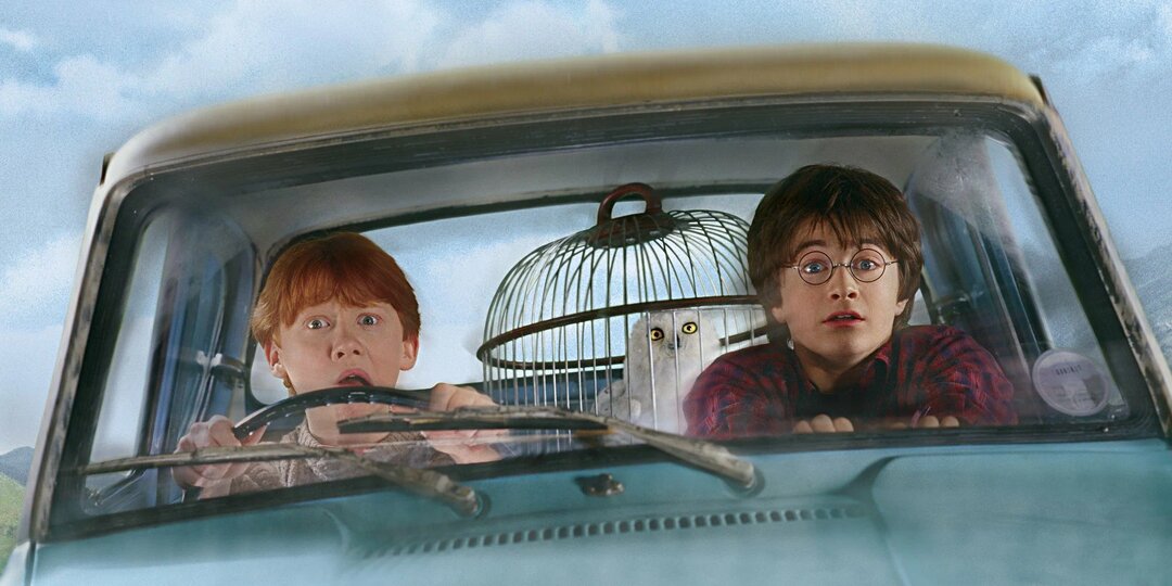 «МАЛЬЧИК-КОТОРЫЙ-ВЫЖИЛ»