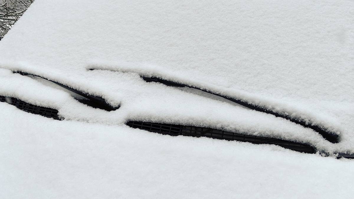    Фото: Василий Кузьмиченок / АГН Москва