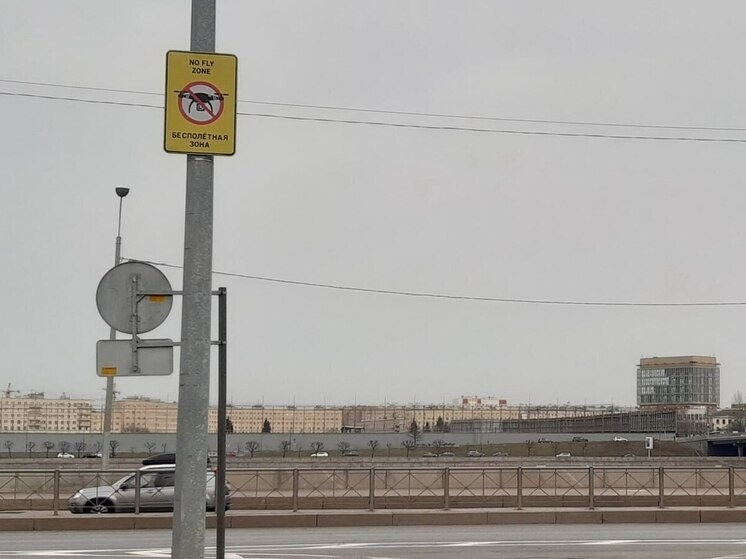     Данные запреты действовали весь 2025 год. Фото: архив МК в Питере