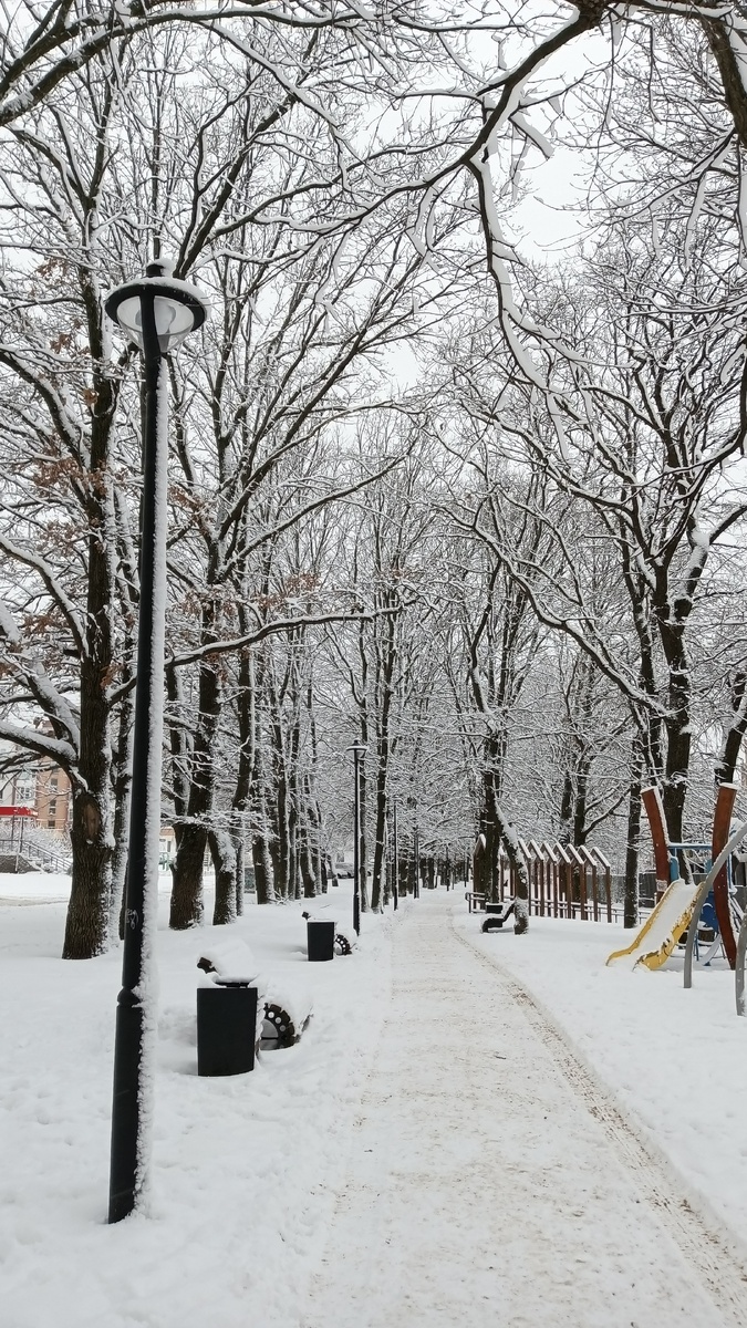 По дороге на работу