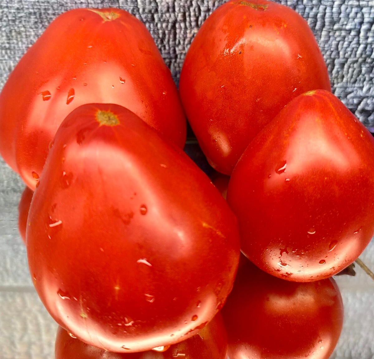 Фото из Интернета