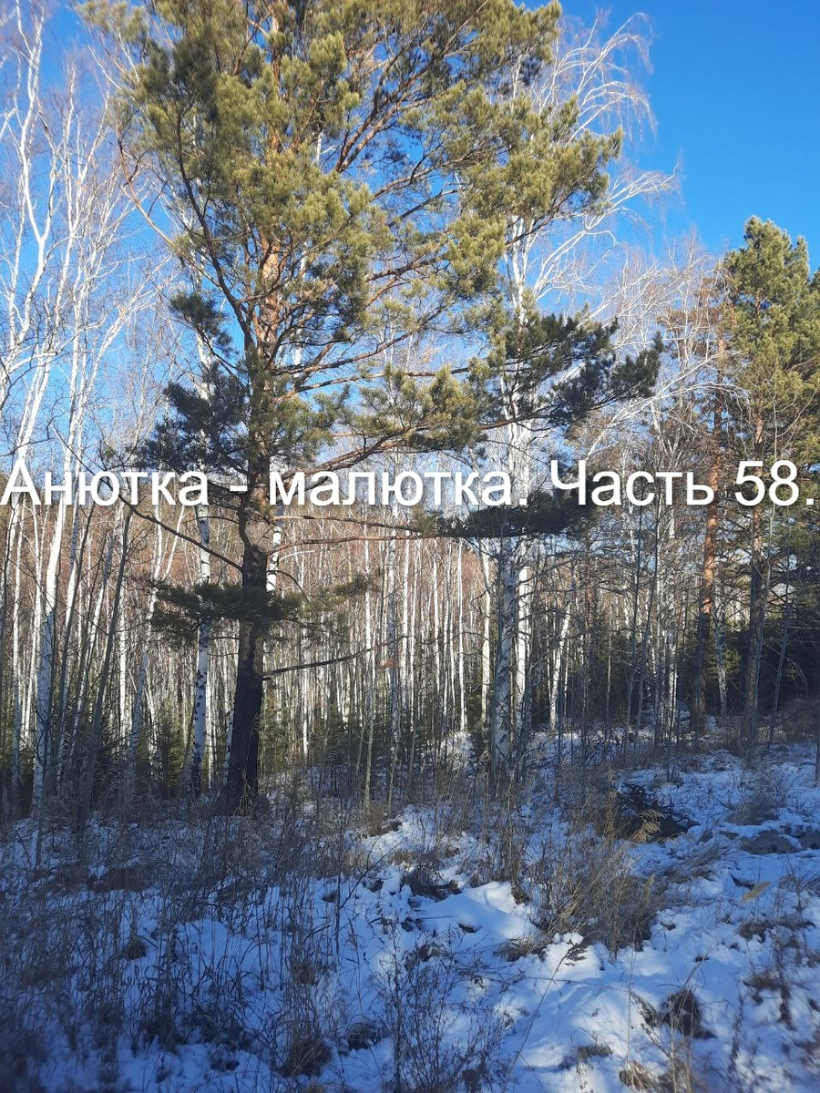 Фото автора.