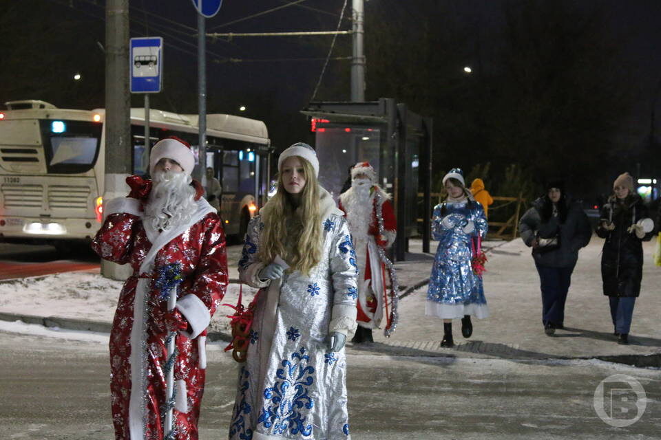    Фото: Матвей Горбунов / "Городские вести"