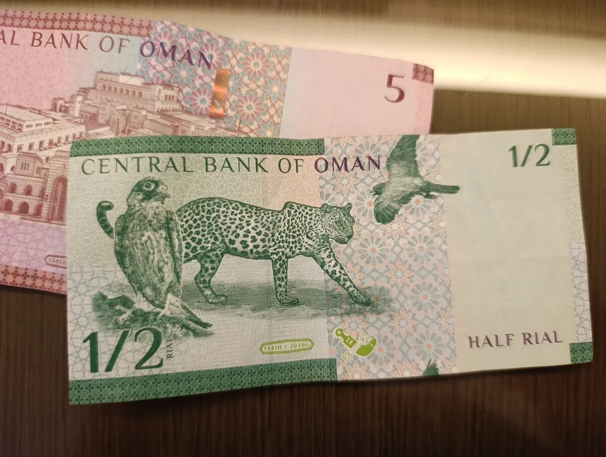    Банкнота в половину оманского реала. Это примерно 100 рублей. Фото: АТОР