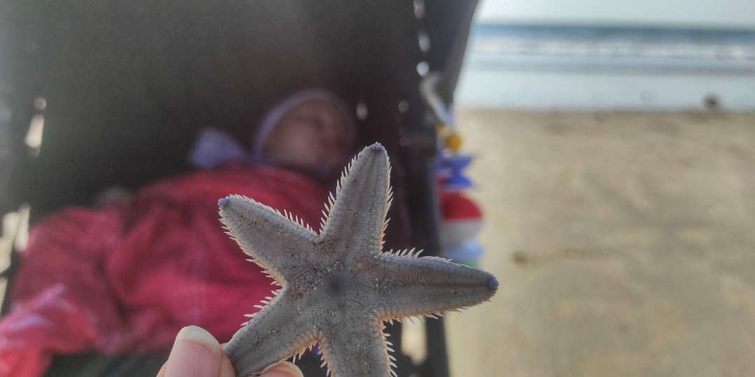 Зимуем в Индии с младенцем. Что положим в багаж?