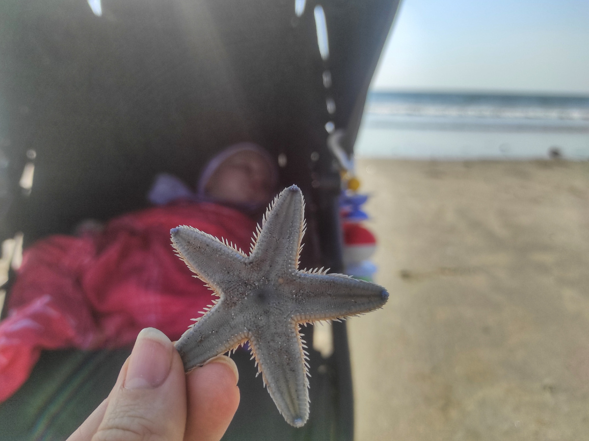 Спит, как младенец