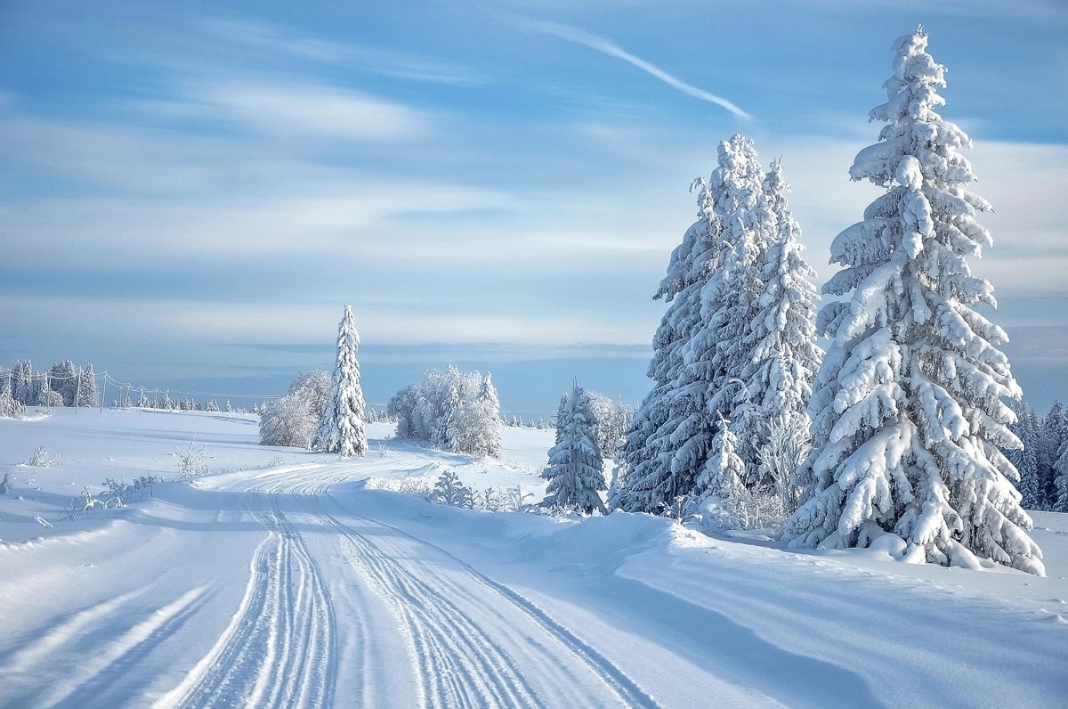 Картинка найдена на просторах интернета, ссылка https://yandex.ru/images/search?from=tabbar&img_url=https%3A%2Fi%2F.pinimg.com%2Foriginals%2Fa8%2F34%2Fа3f%2Fa83р43f851с287179b5e7bd53274cf0591a19.jpg&lr=47&pos=15&rpt=simage&text=%D1%86%D0%B2%D0%B5%D1%82%D1%8B%20%D0%BA%D1%80%D1%83%D0%BF%D0%BD%D0%BE%20%D1%84%D0%BE%D1%82%D0%BE 