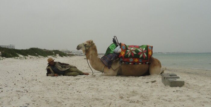 На некоторых видах транспорта никогда не было безналичной оплаты проезда / Фото: Vostok.Today