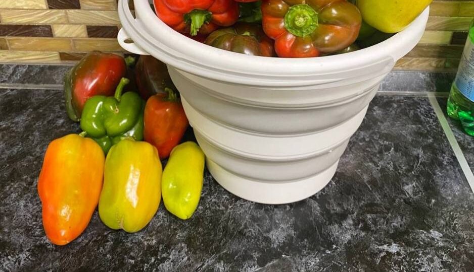 5 ошибок и урожая ПЕРЦЕВ НЕ БУДЕТ!