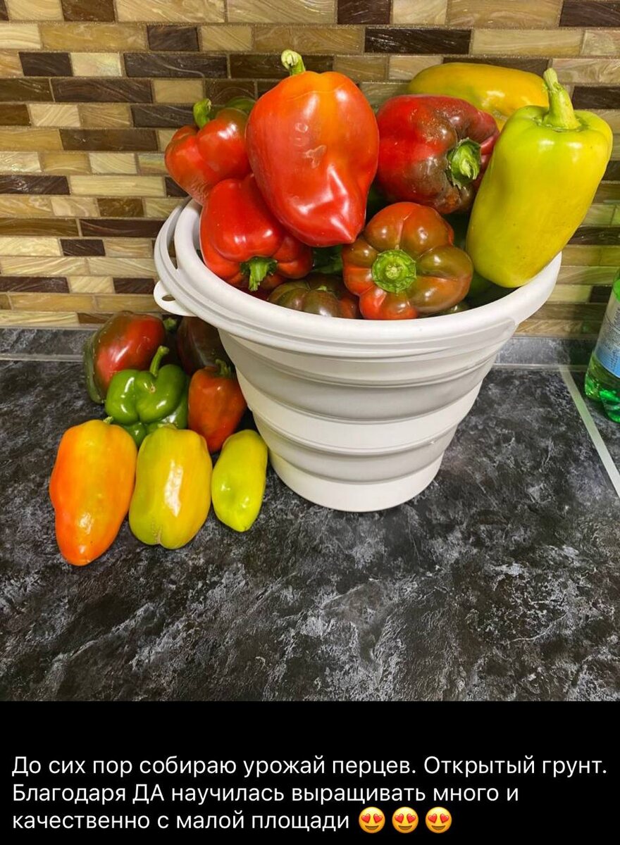 отзыв нашей ученицы