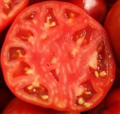 Томат Алёша Попович 