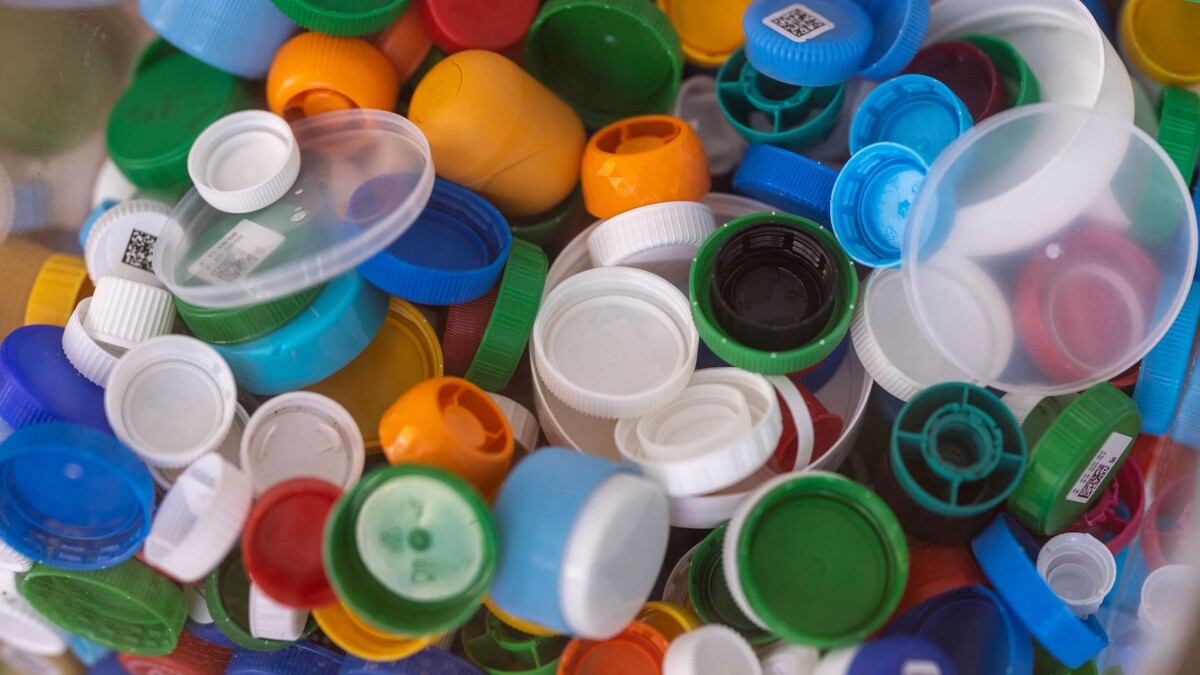    Фото: Федор Воронов/«Ямал-Медиа»