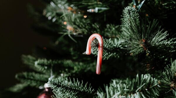    © Unsplash / Kelly Sikkema