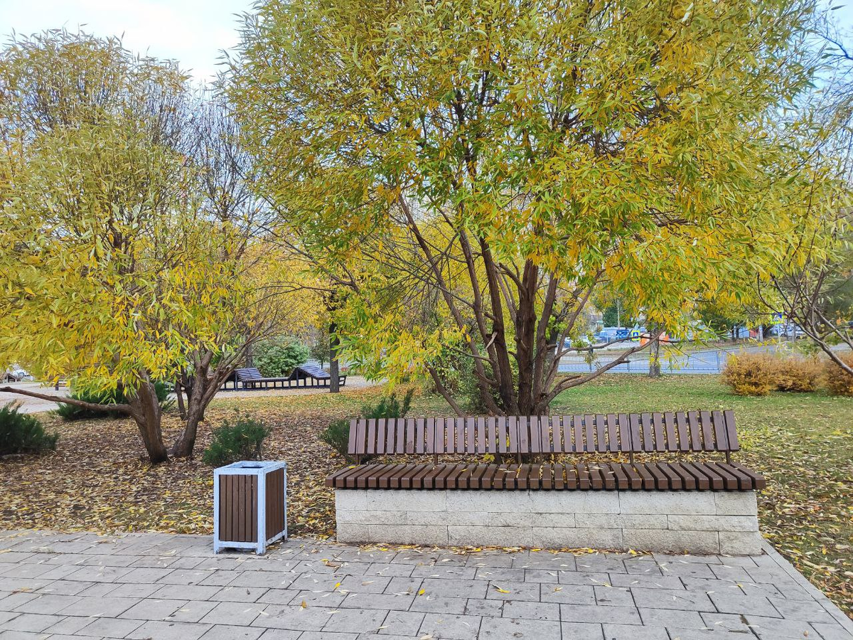 Фото автора.