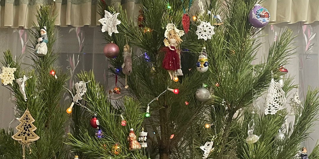 Новый год в деревне. Первые новогодние денечки🎄 🎅🏻