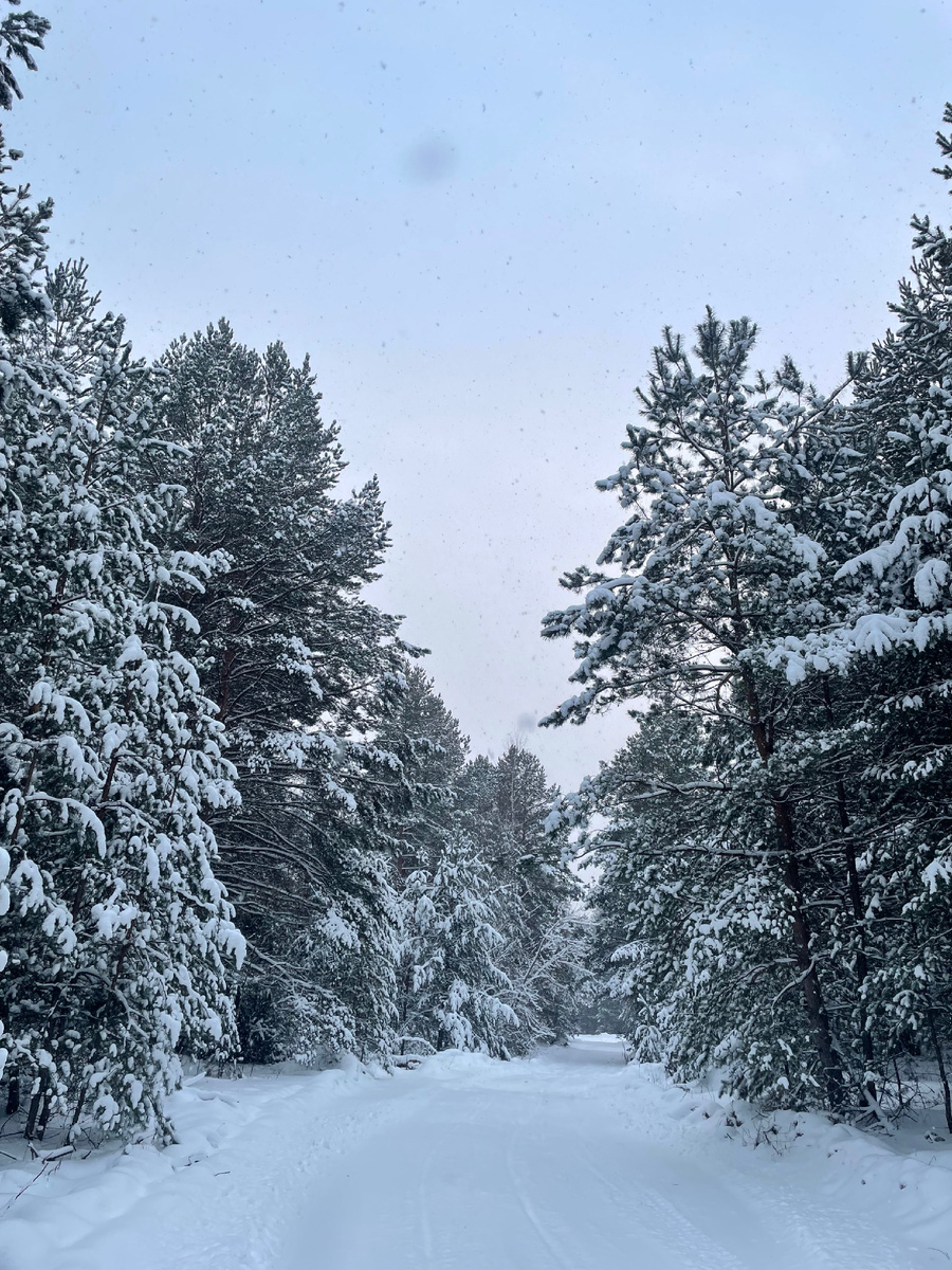 В этом году Новогодье просто сказочное.