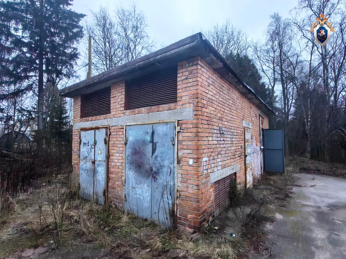    Фото: Следком Карелии