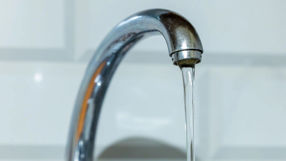    Фото: Федор Воронов / «Ямал-Медиа»