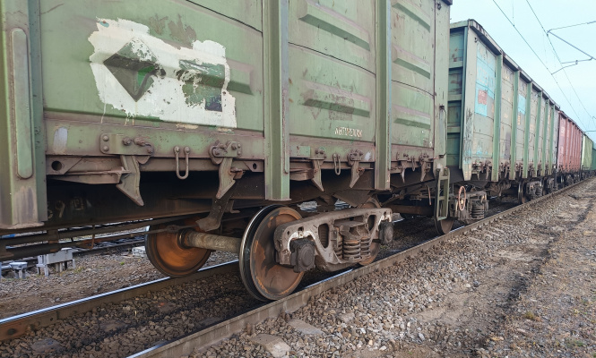    фото: © Столица на Онего