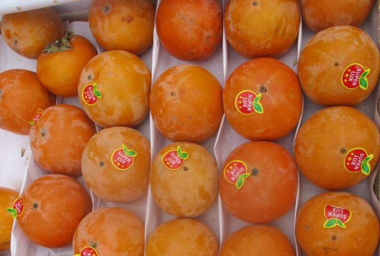    В Оренбуржье предотвратили ввоз заражённой хурмы из Узбекистана Оренбуржье