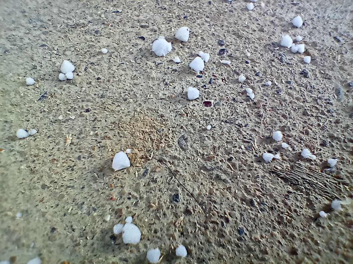 Снег. Или град.