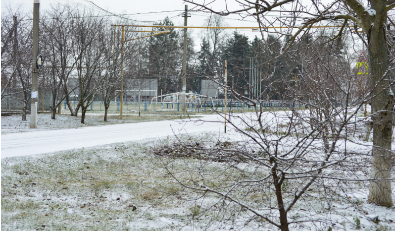 Фото автора. 27.12.2025. Станица. Скоро Новый год.