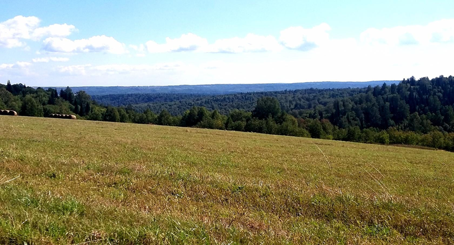 Окрестности Ашкурепа. Фото Ксении Поклоновой.