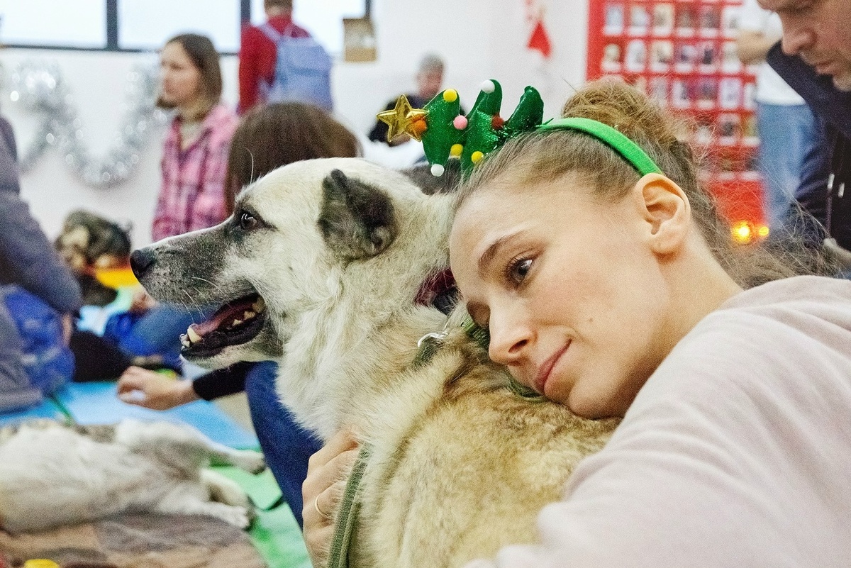 Бинго из отлова Мадьянкина