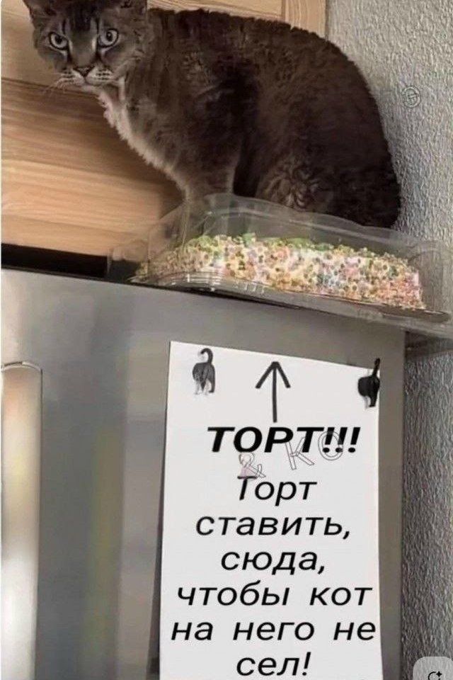 Смех из социальных сетей! Забавные шутки, забавные случаи и веселые рассказы. Фото взято из общедоступных ресурсов соцсетей.