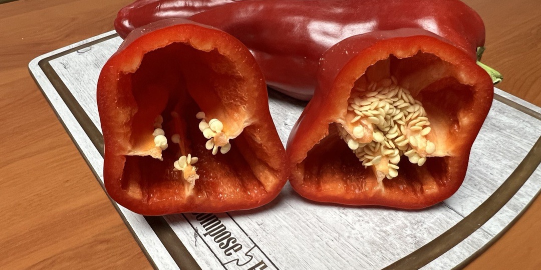 3 сорта сладкого перца к выращиванию в 2026 году