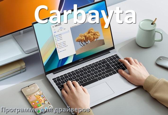
Программа драйверов ноутбука Carbayta для установки и обновления в Windows 10 и 11