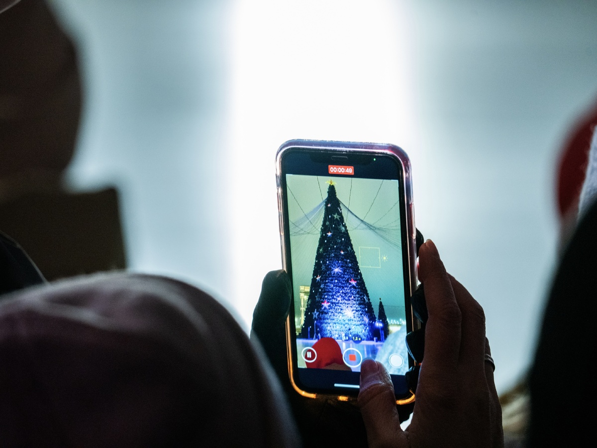    Фото: медиасток.рф