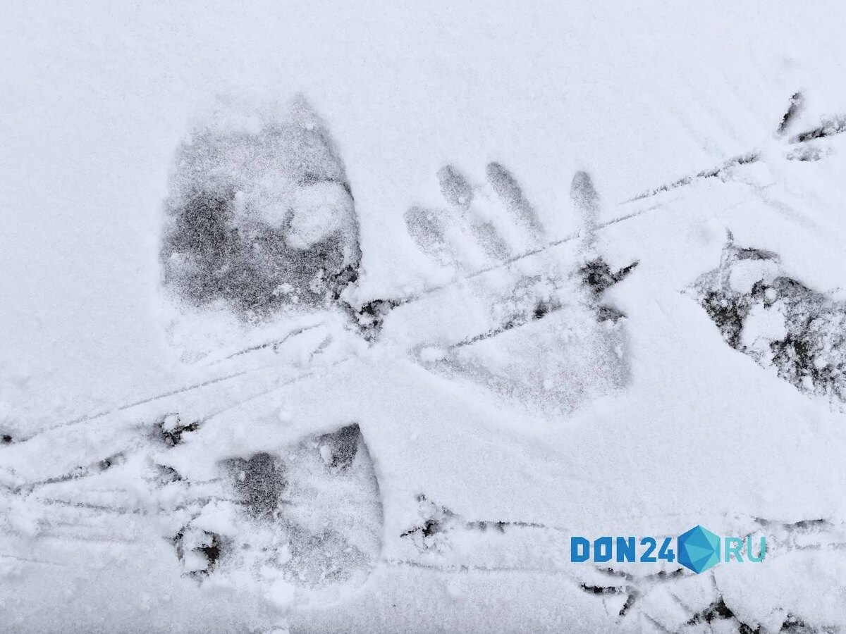    ДОН24   📷   ДОН24   📷   ДОН24   📷   ДОН24