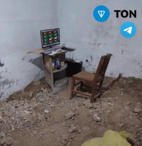 Фото из свободных интернет -источников 