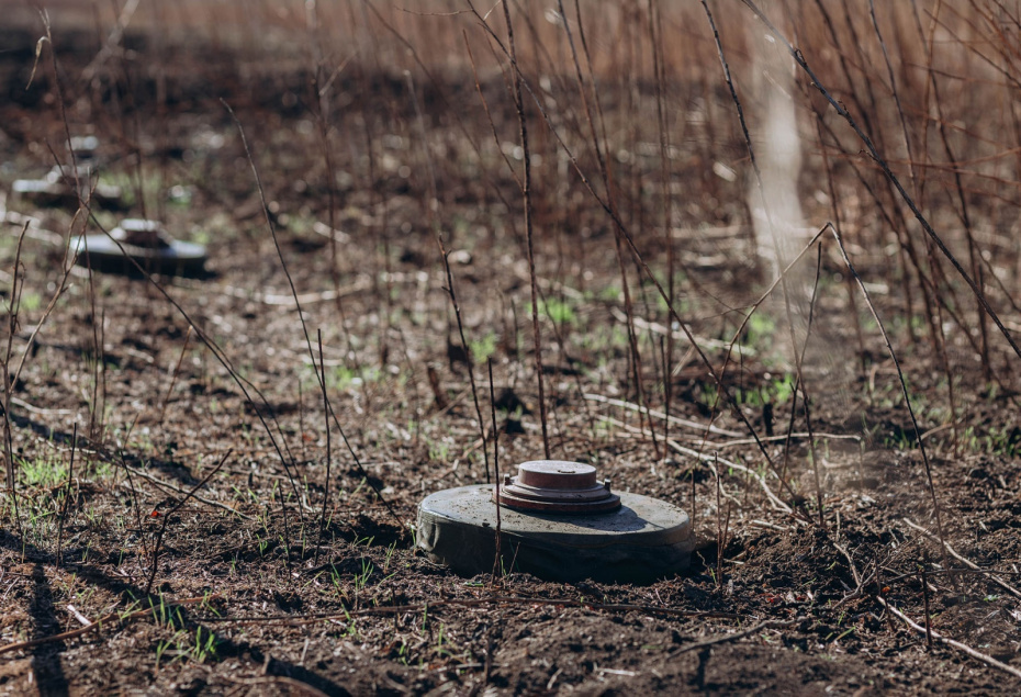    Shutterstock/FOTODOM