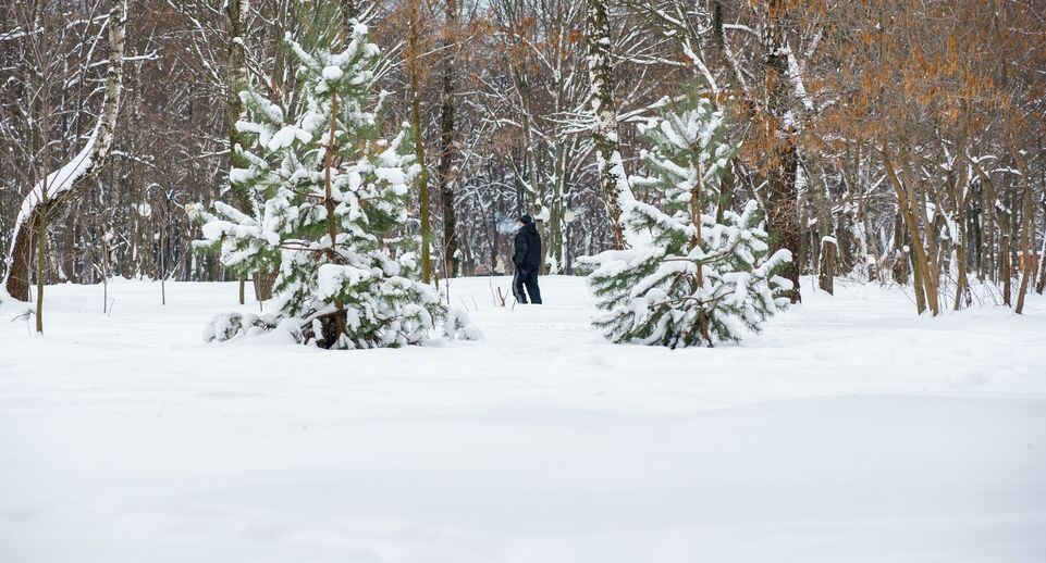    Медиасток.рф