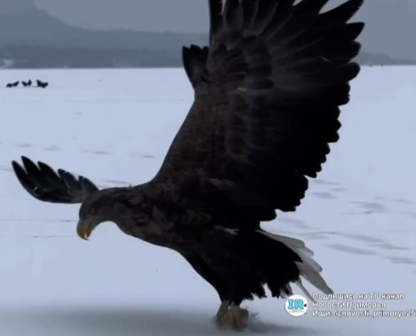    Источник фото: